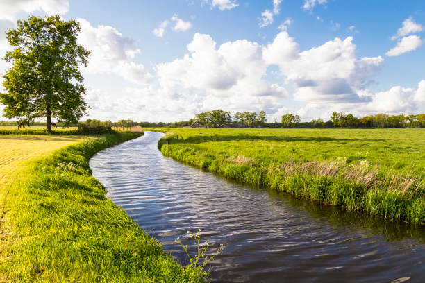 Schilderachtig wandelpad door een Nederlands polderlandschap met groene weilanden